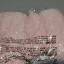 Bow Pillow Throw Pillows Butterfly Shaped Decorative Cute Pillows for Bed Sofa Cute Home Decor,Pink 14.5 * 12inch