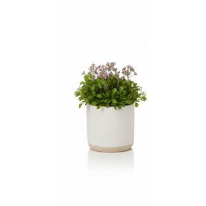 Faux Potted Plant Decor, Realisitic Green Foilage and Flower in White Ceramic Pot, Perfect for Home and Office