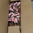 florisso 6 PCS Artificial Cherry Blossom Branches Spring Indoor Decoration, Faux Flowers 34.45" Long Stems Plum Fake Peach Plants Real Touch Silk for Wedding Home Bedroom Party Table Office, Pink