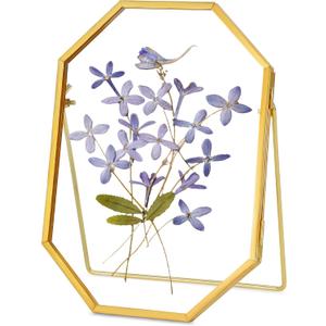 Glass Pressed Flower Frame Handmade, Metal Floating Picture Frame, Double Glass for Tabletop Display, Unique Brass Octagon, Gold, 5x7 Inches (Frame Only) (5L" x 7W")
