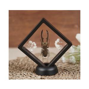 Real Stag Beetle Plastic Frame Taxidermy Dried Specimen Entomology Curiosities Crystal Shelf Shadow Box Display Oddity Witchy Gift Hanging Display Table Wall Home Decor PL-84