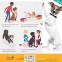 A Kid's Guide to Dogs: How to Train, Care for, and Play and Communicate with Your Amazing Pet!