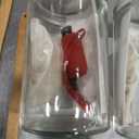 40 Oz Sourdough Starter Kit 2 Pack– Extra Thermometer Strips and Breathable Covers Included in Sourdough Starter Jar – A Perfect Sourdough Bread Starter Kit for Beginners to Expert