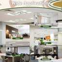 4 Pcs Fluorescent Light Covers - Classroom, Office 4 x 2 Feet Flame Retardant Magnetic Covers for Ceiling Lights Filters (Bohemia-1234)