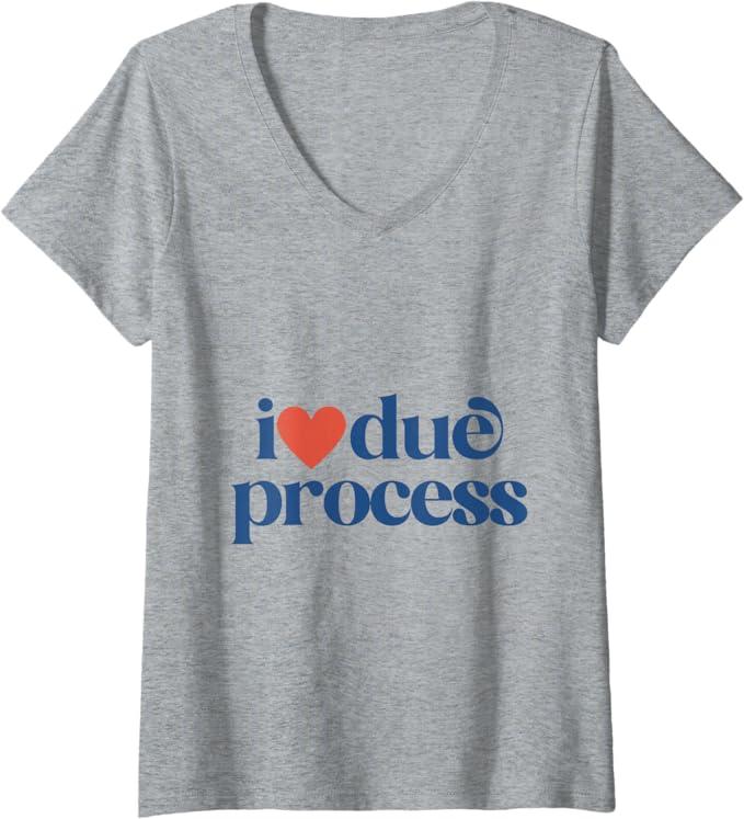 Womens I Love Due Process V-Neck T-Shirt XL
