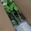 2 pcs Pack Artificial Camellia Tree with White Planter - 39 inch Tall Fake Tree,3.2 Ft Artificial Plants Indoor & Outdoor Housewarming Gift