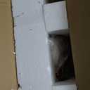 Large Porch Goose Statue with Solar Garden Light,20 Inch Realistic Hand-Painted Goose Sculpture, All-Weather Resin Outdoor Decor for Garden, Yard, Patio, Fits Standard Goose and Duck Outfits,White