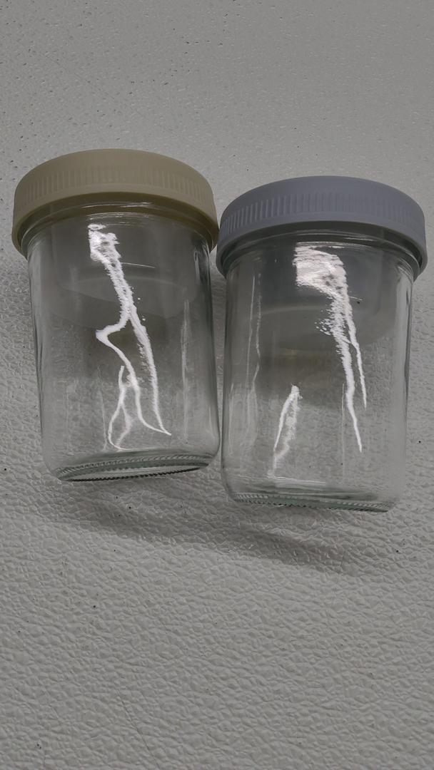 2 Jars With Lids