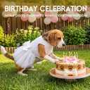 ASENKU Dog Dress Pet Wedding Dress Princess Lace Puppy Birthday Party Outfit Formal Apparel Girl for  Dogs Cats (XL, White)