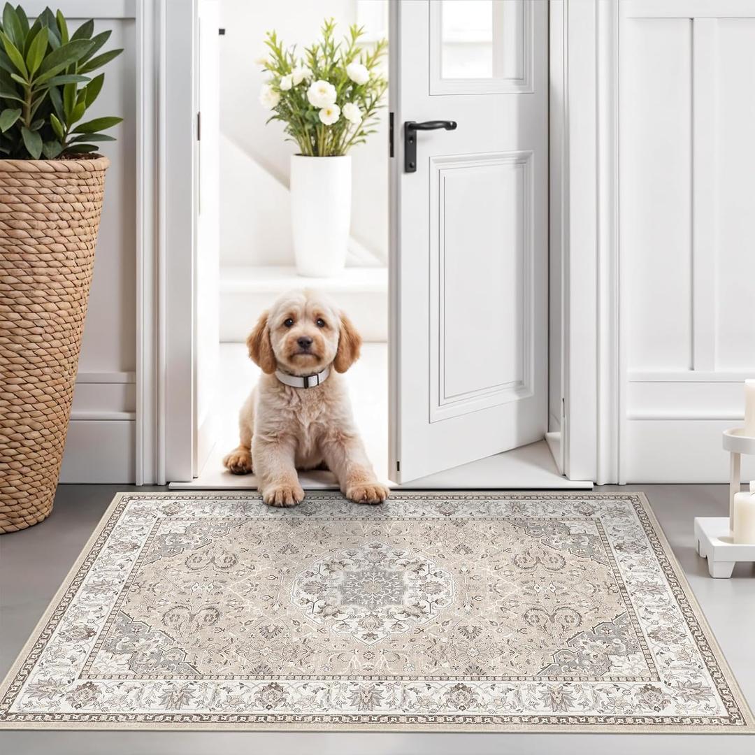 Washable 2x3 Entryway Area Rug - Neutral Kitchen Rug Runner Vintage Soft Floor Mat Non Slip Indoor Farmhouse Carpet for Bathroom Living Room Bedroom (2 x 3, Beige)