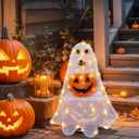 Retisee Lighted Halloween Ghost Dog Puppy with Pumpkin Outdoor Decoration Pre-lit 2D Tinsel Spooky Ghost Dog Halloween Lighted-up Party Courtyard Porch Garden Lawn Display Decor, Not Include Battery