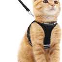 Rabbitgoo Cat Harness and Leash Set for Walking Escape Proof, Adjustable Soft Kittens Vest with Reflective Strip for Cats, Comfortable Outdoor Vest, Black, M