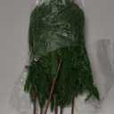 Faux Cedar Stems Artificial Norfolk Pine Branches for Christmas Decor, Fake Pine Stems with 2 PCS Pine Cones Branches Real Touch Realistic Faux Greenery for Vases DIY Garland Xmas Table Indoor