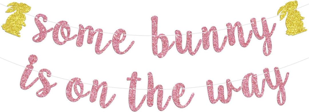 Some Bunny is On The Way Banner, Bunny Baby Shower for Her, Spring Easter Baby 1st Birthday Gender Reveal Party Decorations Supplies for Girl