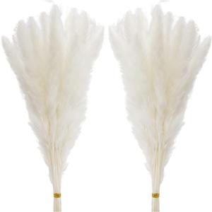 60 Pcs White Pampas Grass ,17 inch/45 cm Natural Dried Pampas Grass Branches Decor for Home Kitchen Garden Party Photographing Flower Arrangement Vase DecorWhite