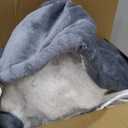 Homemate Heated Blanket Electric Throw - 50"x60" Heating Blanket Throw 1/2/4/6/8 Hours Auto-Off 10 Heat Level Over-Heat Protection Flannel Sherpa ETL Certification