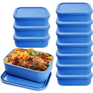 10 Pcs 2 Cup Silicone Freezer Trays with Lids Reusable Food Tray Freezing Molds Rectangle Containers for Food Preserving (Blue)
