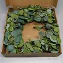HomeKaren Eucalyptus Wreaths for Front Door 22", Handmade Green Leaves Wreath for Summer, Spring and All Seasons, Greenery Floral Wreath for Wall and Outside
