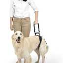 PetSafe CareLift Rear Support Harness - Lifting Aid with Handle and Shoulder Strap - Fits Waist Measuring 27-37 inches, Dog Weight 70lb-130lb, Large, Black