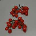 PH PandaHall 2 Pack Artificial Cherry Tomatoes Artificial Fruit Lifelike Simulation Tomato Artificial Red Tomatoes Decoration Faux Fruit Props for Home Kitchen Cabinet Party Pretending Prop