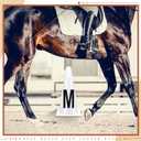 Yexiya 8 Pcs Dressage Cones Plastic Dressage Letters Training Cones Set for Equestrian Athletes and Events Includes A, B, C, E, H, K, F Letters M Letters, White