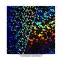 235x235mm Confetti + Galaxy Build Plate for Flashforge Adventurer 5M/ 5M Pro/AD5X 3D Printer, Spring Steel Plate for Neptune 3 Pro/4, Kobra, Ender 3/3 Pro/3S/3v2, CR 20/CR 20 Pro, Ender 5/5 Pro, 235x235mm(magnetic base)