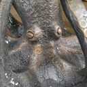 SPI Incredible Cast Aluminum Octopus Glass Top End Table