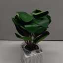 Muhanjia Artificial Potted Plant, Lifelike Faux Greenery in Decorative Cement-Look Square Pot for Indoor Home Decor Centerpieces (Peperomia)