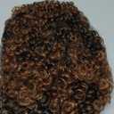 Ombre Brown Highlight Short Curly Wig with Bangs 3C Curls Glueless Ready to Wear Friendly for Beginner Kinky Curly Wig Synthetic Afro Wigs for Women 1B/30