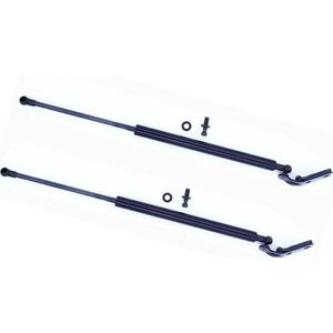Front Hood Lift Support for Lexus RX300 1999 2000 2001 2002 2003 2 Pcs