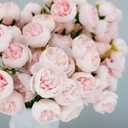 24 PCS Ranunculus Artificial Flower, Faux Silk Mini Ranunculus Bulk Fake Wedding Filler Flowers for Engagement Centerpieces Arrangements Bridal Shower Decorations Home Decor (Pink)