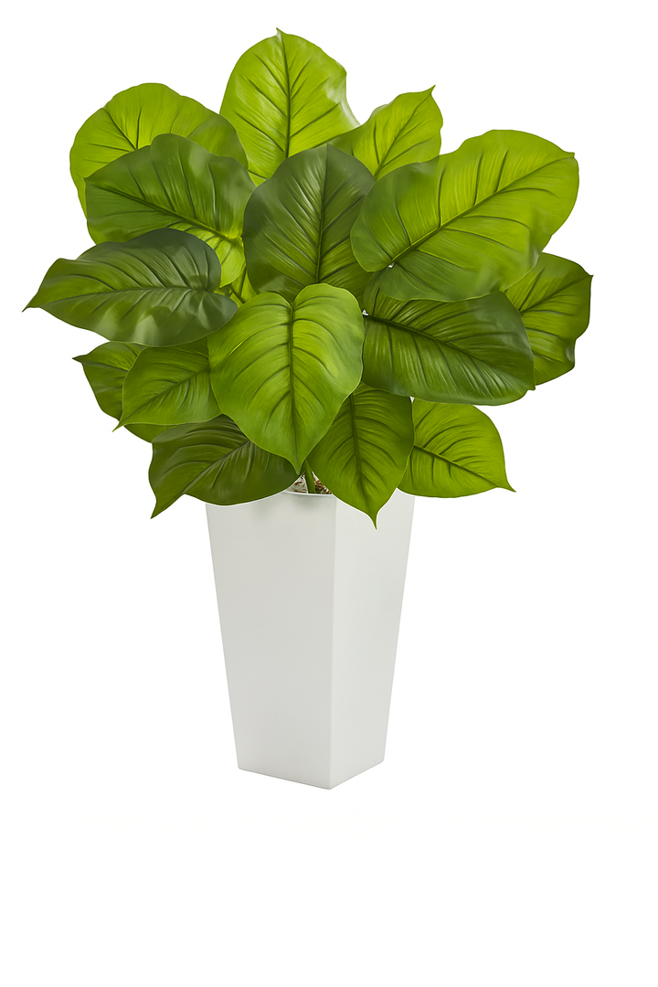 3’ Large Leaf Philodendron Artificial Plant in White Planter