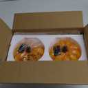 Solar Pumpkin Garden Statues Halloween Pumpkin Decorations Outdoor Pumpkin Lights Fall Decorations for Porch Terrace Yard Lawn Patio, 2 Pack Small Pumpkin