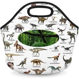 Kids Lunch Box for Boys Girls Insulated Neoprene Dinosaur Forest Children Lunch Bags Sturdy Soft Bag & Reusable Cooler Lunch Thermal Meal Tote Kit for School