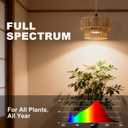 Hanging Grow Light for Indoor Plants, 30W Full Spectrum 4000K Plug-in Pendant Grow Lamp with Timer, 15FT Cord, Adjustable Hanging Kit for Tall Plants, Seedlings, Succulents