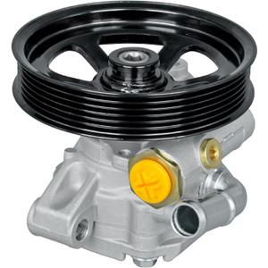 Power Steering Pump with Pulley Compatible with Buick Enclave Chevrolet Equinox Traverse GMC Acadia Pontiac Torrent Saturn Outlook Saturn Vue Replaces 15285501 20-2403