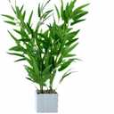 20 Inch Artificial Bamboo Decor Indoor Potted Fake Bamboos Plants with Pot Faux Bamboo Tree Plant for Home Office Living Room Decor