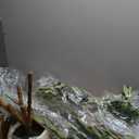 Bellacat 5ft Super Fuller Faux Olive Tree with White Decorative Planter & Multiple Real Wood Trunks, 60in Olive Trees Artificial Indoor with Realistic Fruit, Fake Olive Tree for Indoor & Outdoor Dcor