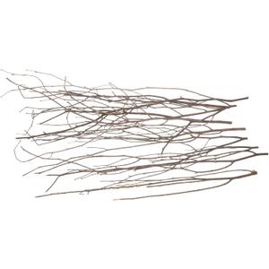 10pcs Elegant Dried Twig Decoration Natural Branches for Home Decor Vase Fillers Wedding Party Arrangements Photography Props Rustic Centerpieces