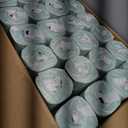 Tork Septic Safe Toilet Paper, White, 2-Ply 100% Recycled, Eco-Friendly, T24 Compatible 96 Rolls x 500 Sheets (TM1616S)