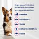 Nutramax Proviable Probiotics for Dogs and Cats, Daily Digestive Health Supplement with Multiple Strains of Bacteria, Cat and Dog Probiotics Plus Prebiotics, 80 Capsules