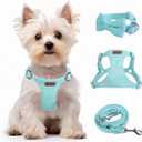 Dog Harness and Leash Set, XXS No Pull Adjustable Puppy Harness with Multifunction Pink Dog Leash and Dog Collar, Soft No Choke Escape Proof Pet Harness Vest for Small Dogs and Cats (Mint Green, XS) (XS(4.5-11lb))