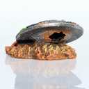 Sunken Spaceship Aquarium Decorations UFO Ornaments Resin Material Betta for Small Fish for Tank UFO Spaceship Aquarium Decor Decorations Betta Fish Tank Decorations Small Resin