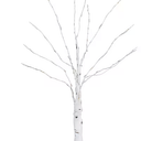 Lighted Birch Tree