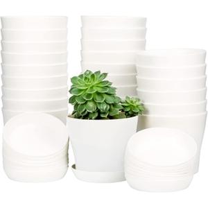 TDHDIKE 25 Pcs Plastic Planters Indoor Flower Plant Pots, Mini Flower Seedlings Nursery Pot with Pallet, Modern Decorative Gardening Containers (White, 25)