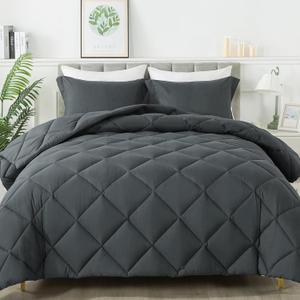 HYLEORY Queen Comforter Set with 2 Pillow Shams - Grey Fluffy Down Alternative Bedding Comforter Sets, Lightweight Luxury Soft Cooling Bed Sets for All Season (Dark Grey)