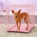 MidWest Homes for Pets 24-Inch Pink Fashion iCrate for Small Breeds, 12-20 lbs, Single Door Folding Dog Crate with Divider Panel, Leak-Proof Tray & Secure Latch, Portable, Durable & Easy to Assemble