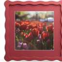 8x8 Picture Frame with Mat for 6x6, Wavy Edge Wooden Real Glass Photo Frame for Tabletop and Wall Hanging, Red, 1 Pack