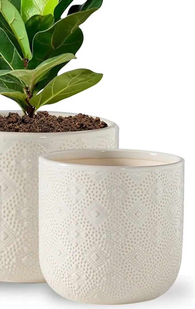 Docrin Ceramic Plant Pots Indoor, 6.5+4 Inch Planters with Drainage Holes for Home/Office - Set of 2 / White