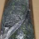 2FT Artificial Topiary Tree Beautiful Realistic Faux Cedar Pines Christmas Trees UV Rated Fake Shrubs for Front Porch Faux Plants Indoor and Outdoor Decor1 Pack (1ft 4in)